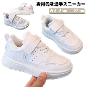 X|[c ̎q qǂC Xj[J[  q j̎q LbY WjA C qC Xj[J[ V[Y Ԃ LbYC y ^C a   w j̎q ct 