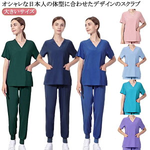  jtH[ Y XNu XNuZbg j p   ㉺Zbg Ōt fB[X  fB[X 傫TCY t  { i[X m 앞  