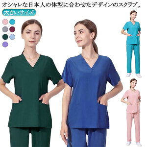 j  傫TCY ㉺Zbg p Y t XNuZbg jtH[ XNu XNu Ōt  i[X fB[X  앞 XNu i[X  m 