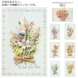 ̓ 莆 t[  t) J[h ̓ j O[eBOJ[h hCt[J[h  (10Zbg ԑ aJ[h EFfBOJ[h