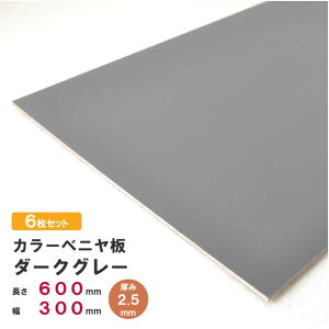 y_[NO[zy2.5mmzJ[xj 600×300×2.5mm 6Zbg  I[_[Jbg | J[ 