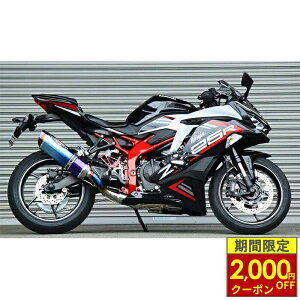 �_�ő�2,000�~OFF�N�[�|���^ NASSERT-EvoII �u���[�`�^���T�C�����T�[ Ninja ZX-25R