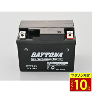 �_�|�C���g10�{�^ DAYTONA �f�C�g�i �n�C�p�t�H�[�}���X�o�b�e���[ DYTZ4V