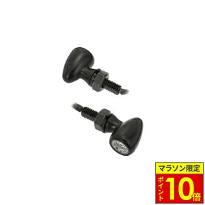 _27|Cg10{^ Motone Customs [g[JX^Y LEDECJ[ PICO 2M8 ėp