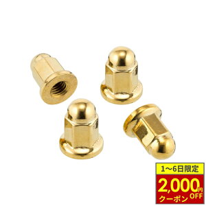 y10/1ő2,000~OFFN[|z Motone Customs [g[JX^Y GL][XgNvibg uXT100/T120 (16-) SpeedTwin900 (16-) Scrambler900 (17-)