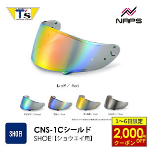 y11/1ő2,000~OFFN[|z T's eB[Y SHOEIwbgp ~[V[h CNS-1C PINLOCK GT-Air 3 _[NX[N [X[N NA `^u[ `^IW `^bh `^