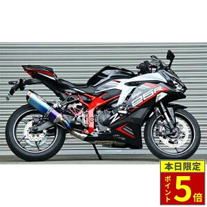 �_�|�C���g5�{�^ NASSERT-EvoII �u���[�`�^���T�C�����T�[ Ninja ZX-25R