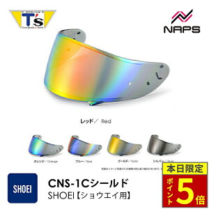 _15|Cg5{^ T's eB[Y SHOEIwbgp ~[V[h CNS-1C PINLOCK GT-Air 3 _[NX[N [X[N NA `^u[ `^IW `^bh `^Vo[ `