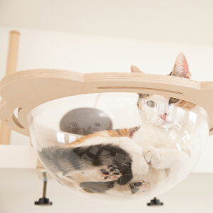 nbN JvZ znbN LbgXebv L nbN ǂɌJȂ Lbg^[ tȒP  {I ybgxbh lRxbh