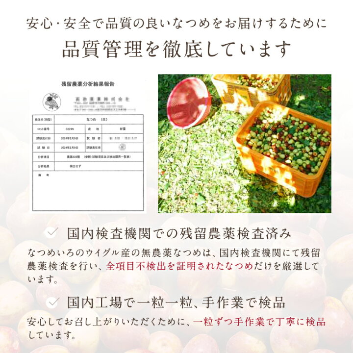 楽天市場】【期間限定☆ポイントUP！】 なつめ 無添加 無農薬 特選 