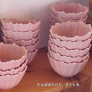 X^WIM' ۂۏ i`XpCXF  J[ F t spring F studiom' \{JCstudio m' H      Vv  IV JtF Mtg 