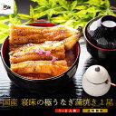 国産 うなぎ マツコの知らない世界で紹介 真空パック 蒲焼き お中元 ギフト【極うなぎ】蒲焼き 1尾 約180〜200g以上 1-2人前 誕生日 お祝い 内祝い お返し 結婚内祝い 国内産 ウナギ 鰻 ギフト うなぎ蒲焼 高級 お礼 うなぎ蒲焼 冷凍プレゼント 父の日 母の日 土用丑 グルメ