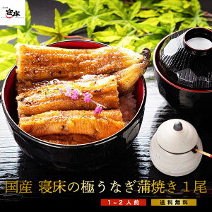 Y Ȃ }cR̒mȂEŏЉ ^pbN Ă hV̓MtgyɂȂzĂ 1 180`200gȏ 1-2lO a j j Ԃ j Y EiM V Mtg