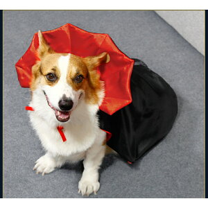 pi nEB P[v   obhX^C bh p[v IW