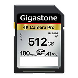 Gigastone SDカード 512GB メモリーカード  A1 V30 U3 Class 10 SDXC 高速 4K UHD Full HD ビデオ Canon Nikon など デジタルカメラ 一眼レフ対応 ミニケース1個付き