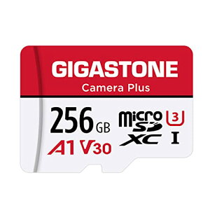 Gigastone }CNSDJ[h 256GB tHD SDA_v^t SDXC U3 Class 10 100MB/S Gopro ANVJ X|[cJ  UHS-I 4K UHD 