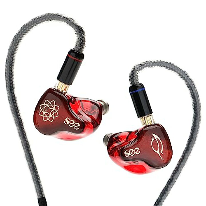 楽天市場】HiFiGo 有線 SeeAudio Bravery AE リミテッド エディション  
