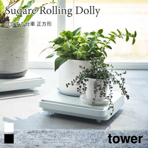   RpNg  ^[ ` R tower ω׏d40kg 360x] Xgbp[Ȃ nht Vv zCg ubN 5455 5456  mg[ yamazaki