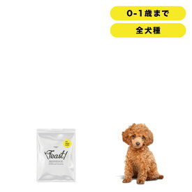 INUMESHI　フィースト　子犬用　全犬種用　200g　おためしパック　ドッグフード　小型犬　中型犬　大型犬