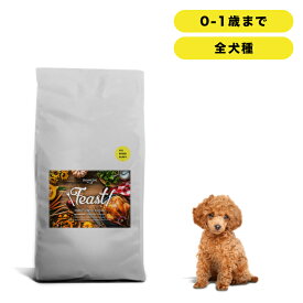 INUMESHI　フィースト　子犬用　全犬種用　15kg　ブリーダーパック