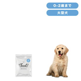 INUMESHI　フィースト　子犬用　大型犬用　200g　おためしパック　ドッグフード　パピー