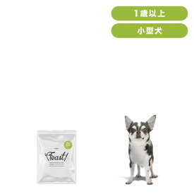 INUMESHI　フィースト　1歳以上　小型犬用　200g　おためしパック　ドッグフード　成犬用　高齢犬用　小粒