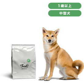 INUMESHI　フィースト　1歳以上　中型犬用　5kg　ドッグフード　成犬用　高齢犬用　中粒