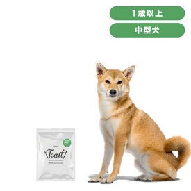 INUMESHI　フィースト　1歳以上　中型犬用　200g　おためしパック　ドッグフード　成犬用　高齢犬用　中粒