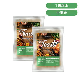 INUMESHI　フィースト　1歳以上　中型犬用　200g（100g×2袋）　おためしパック