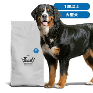 INUMESHI　フィースト　1歳以上　大型犬用　15kg　ブリーダーパック　ドッグフード　成犬用　高齢犬用　…