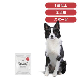INUMESHI　フィースト　プレミアム　スポーツ　1歳以上　活発犬用　200g　おためしパック　ドッグフード　成犬用　高齢犬用　中粒
