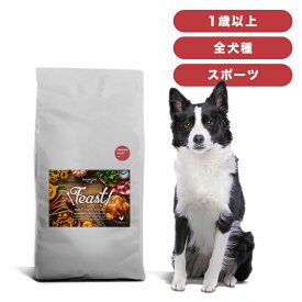 INUMESHI　フィースト　プレミアム　スポーツ　1歳以上　活発犬用　15kg　ブリーダーパック