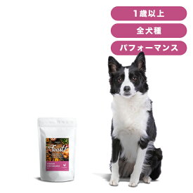 INUMESHI　フィースト　プレミアム　パフォーマンス　1歳以上　活発犬用　3kg（1kg×3個）