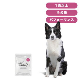 INUMESHI　フィースト　プレミアム　パフォーマンス　1歳以上　活発犬用　200g　おためしパック　ドッグフード　成犬用　高齢犬用　中粒
