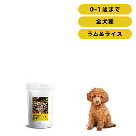 INUMESHI　フィースト　ラム&ライス　子犬用　全犬種用　3kg（1kg×3個）
