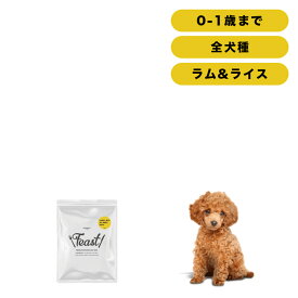 INUMESHI　フィースト　ラム&ライス　子犬用　全犬種用　200g　おためしパック　ドッグフード　パピー　中粒