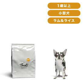 INUMESHI　フィースト　ラム&ライス　1歳以上　小型犬用　5kg　ドッグフード　成犬用　中粒