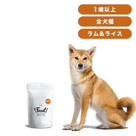 INUMESHI　フィースト　ラム&ライス　1歳以上　全犬種用　3kg（1kg×3個）