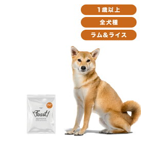 INUMESHI　フィースト　ラム&ライス　1歳以上　全犬種用　200g　おためしパック　ドッグフード　成犬用　小型犬　中型犬　大型犬　中粒