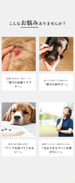 楽天市場 Inumeshi Sebek セベク 1kg ワニ肉 全犬種 全年齢用 穀物不使用 グレインフリー Inumeshi