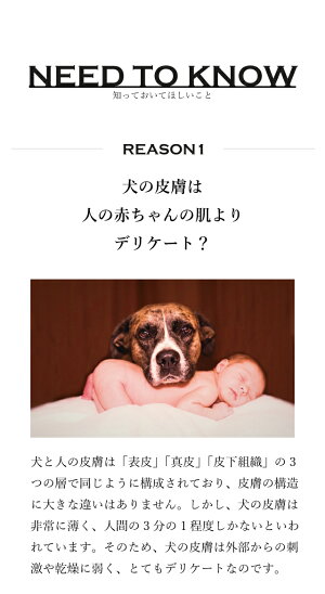 楽天市場 犬用品 ブランドから選ぶ Aura Inumeshi