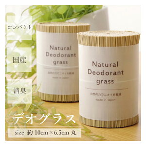 デオグラス 2個入り い草 い草雑貨 雑貨 消臭剤 国産 日本製 お手入れ簡単 夏 抗菌防臭 調湿 消臭 空気清浄 汚れにくい ギフト gift 母の日 父の日 御中元 御歳暮 誕生日 プレゼント