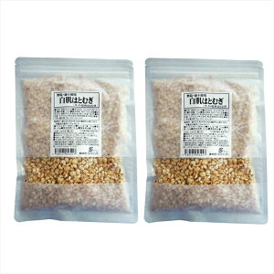 Esgp ͂Ƃނ 100g 2 lߍ킹 Zbg ĊAEl͂Ƃނ̎ł