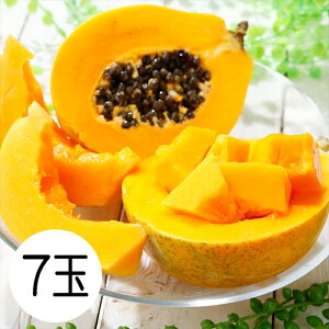 CG[ppC iEzsj Mtg gift ̓ ̓ 䒆 Ε a v[g