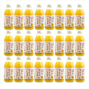 L@IWW[X 250ml×24{ ikCEE͔zsj Mtg gift ̓ ̓ 䒆 Ε a v[g