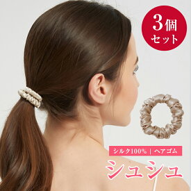 シュシュ 輪ゴム、上質なシルク100% 上品な色使い新商品 ヘアゴム 可愛い 髪の毛に傷めず リボン 大人 シルクシュシュ 軽い ボリューム ヘアアクセサリー カジュアル