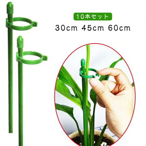 K[fjO 10{Zbg AT|[g x Ԃ |p 60cm ϗtA 10{Zbg Ax t[X^h 45cm t[x t[x |x ϗtx |pi ؗp ȒP