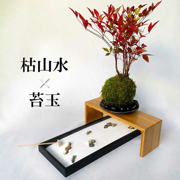 楽天市場】インテリア 枯山水×苔玉〜枯山水（龍安寺）+南天苔玉 器 