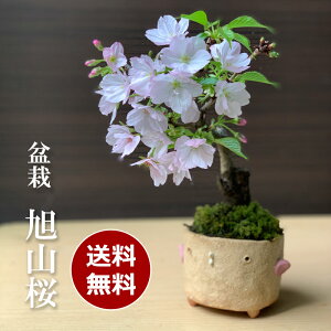 ~ JԏI R Ђ܂ ^R g d̍ 킢 ԍ炭ڂ񂳂 ~ JԏI  Mtgԍ炭~ JԏI ~ JԏI  ߂Ă̖~ JԏI a V