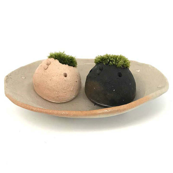 楽天市場】苔 インテリア コケがかわいい 真山茜さんのモスモス モスコトリ2羽 受け皿セット mosmos 益子 陶芸家 観葉植物 コケテラリウム インテリア コケ栽培 ギフト誕生日 とりゴケ 苔とり 色が選べる とりゴケ 苔とり 苔 こけ コケ : みどり屋 和草 楽天市場店 楽天市場】苔 インテリア コケがかわいい 真山茜さんのモスモス モスコトリ2羽 受け皿セット mosmos 益子 陶芸家 観葉植物 コケテラリウム インテリア コケ栽培 ギフト誕生日 とりゴケ 苔とり 色が選べる とりゴケ 苔とり 苔 こけ コケ : みどり屋 和草 楽天市場店